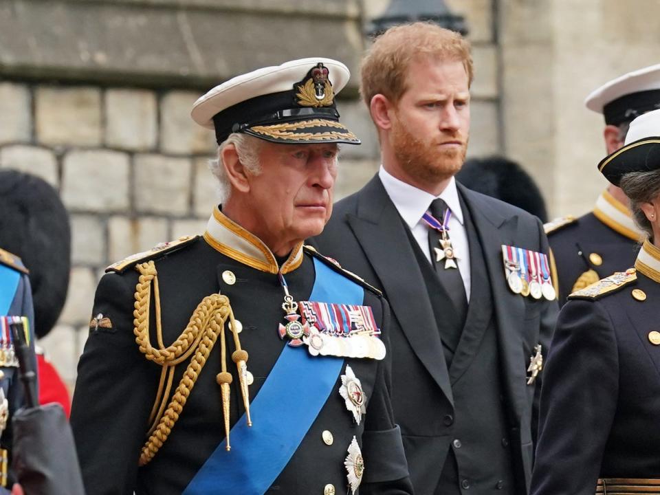 king charles, prince harry, princess anne