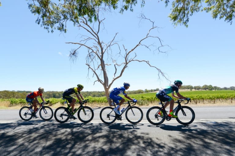 Riders pass through the Barossa Valley on the first day of the Tour Down Under