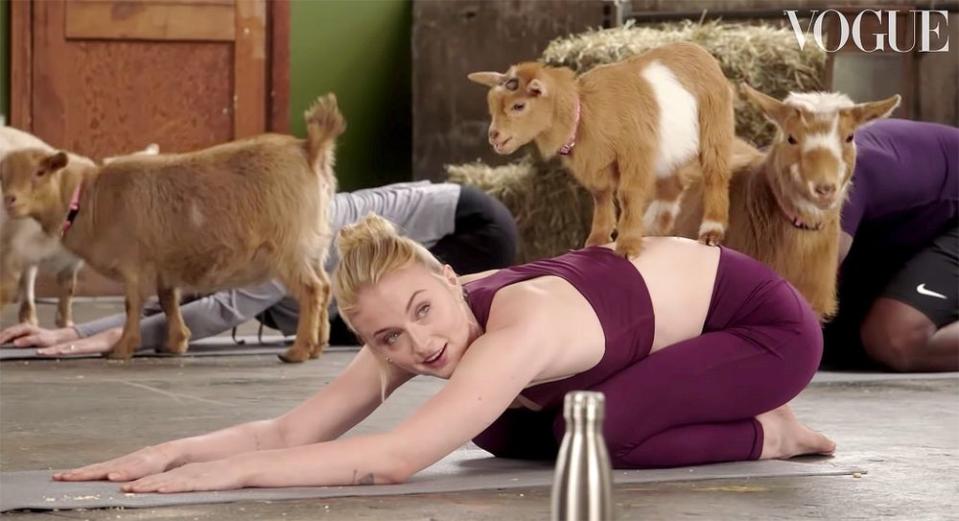 Sophie Turner at goat yoga | Vogue