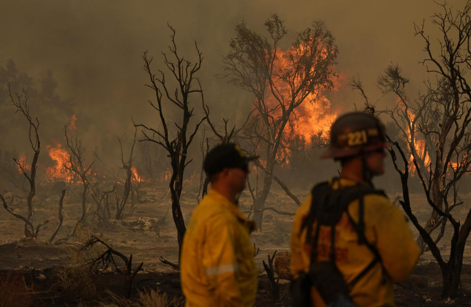 Members of the San Bernardino County Fire Department keep an eye on a flareup from the Bobcat Fire on Saturday, Sept. 19, 2020, in Valyermo, Calif. (AP Photo/Marcio Jose Sanchez)