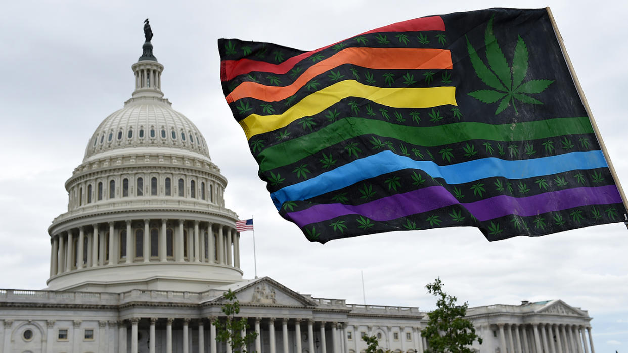 DC Marijuana Justice activists wave flags during a rally for cannabis reform legislation in Washington. (Photo: Olivier Douliery/AFP via Getty Images)