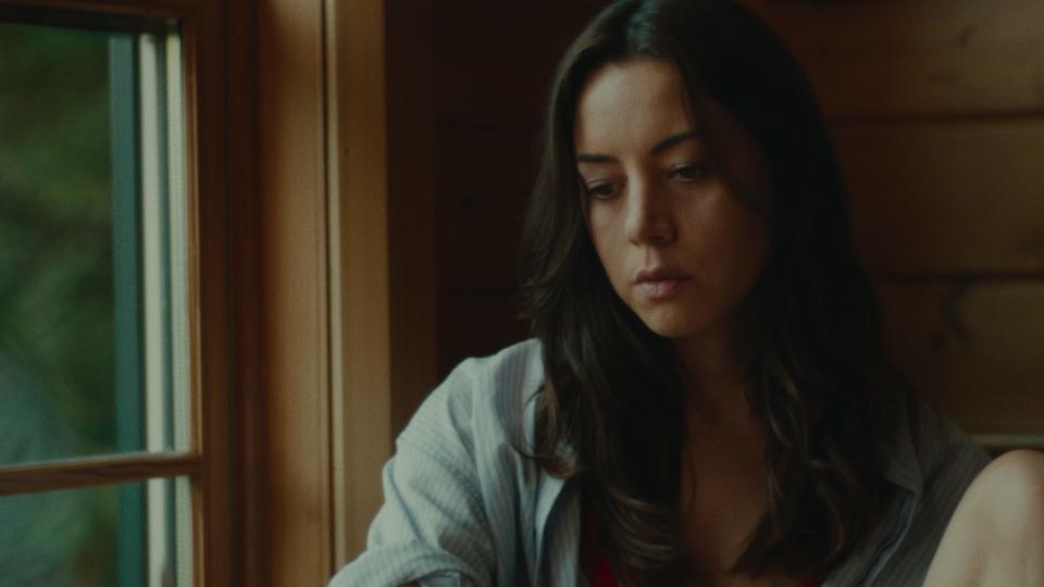 "Black Bear" (Dec. 4, video on demand): The drama features Aubrey  Plaza as a filmmaker who, while battling writer's block for her newest work, plays house guest to a troubled couple at a remote lake house and stokes desire and jealousy for creative inspiration.