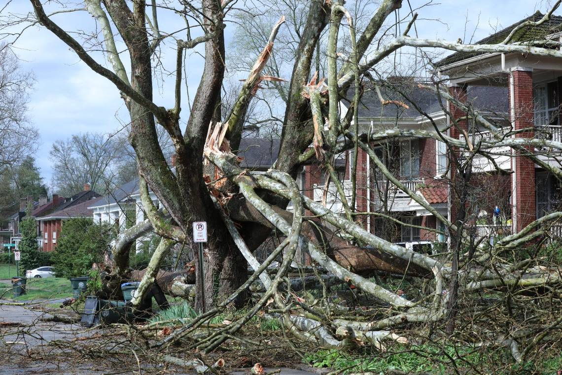 Two large trees are caused heavy residential damage on Fincastle Road in the Chevy Chase neighborhood following a severe thunderstorm that uprooted a large tree in Lexington, Ky on April 2, 2024.