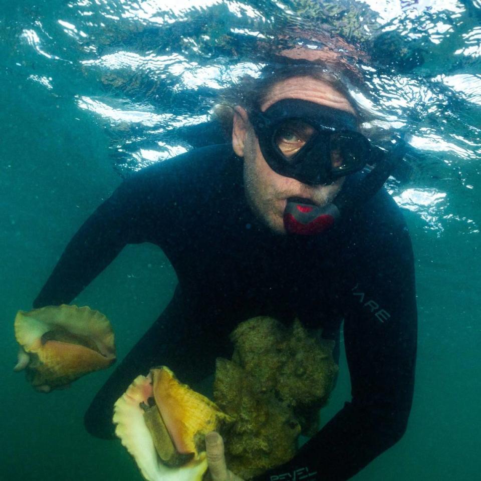 Florida Fish and Wildlife Conservation Commission research administrator William Sharp snorkels at the surface while collecting Queen Conch during a dive with FWC on Monday, June 10, 2024, in Miami, Fla. FWC staff and volunteers gather onshore specimen to be moved to an offshore location for a higher chance of successfully reproducing.