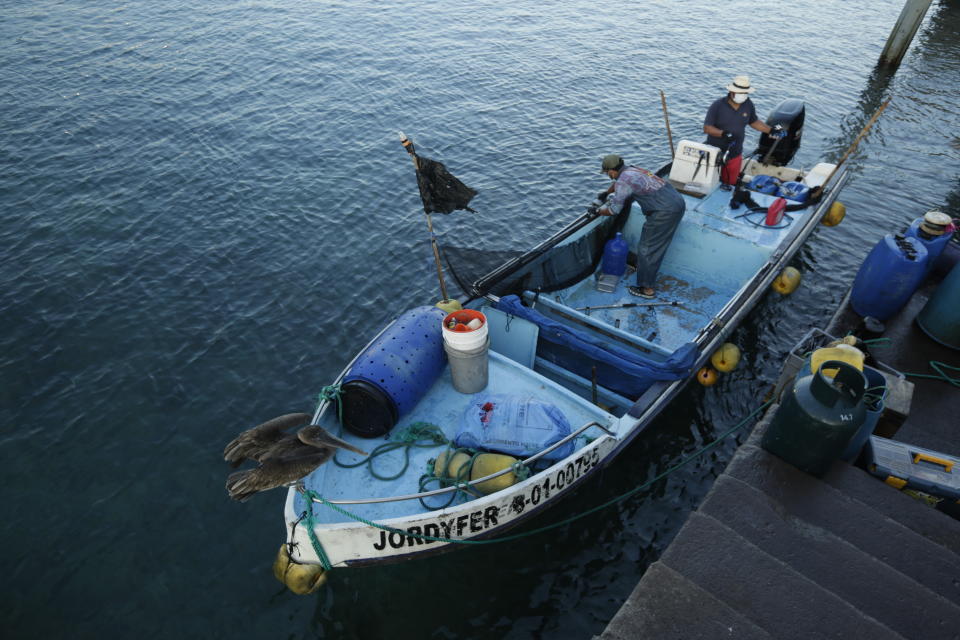 In this May 2, 2020 photo, fishermen work in their boat in the bay of San Cristobal, Galapagos Islands, Ecuador. Locals like to joke that, "In the Galapagos, it is prohibited to get sick." But COVID-19 has upended any sense of island immunity. The islands' first cases of the new coronavirus were diagnosed in late March. (AP Photo/Adrian Vasquez)