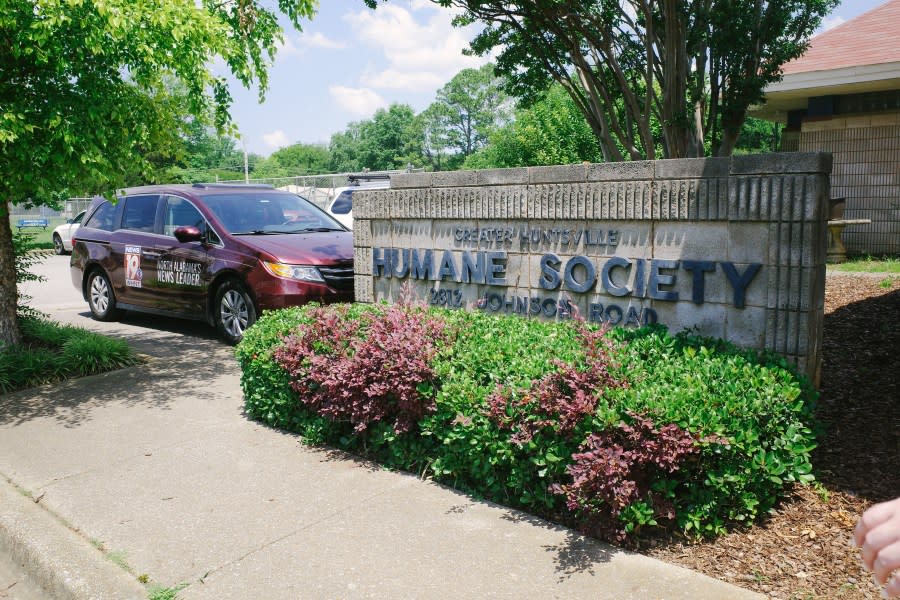 For Founder’s Day of Caring 2024, the WHNT Team spent the day volunteering at the Greater Huntsville Humane Society and their thrift store Three Tails ReSale (photo: Cristina Byrne, WHNT)