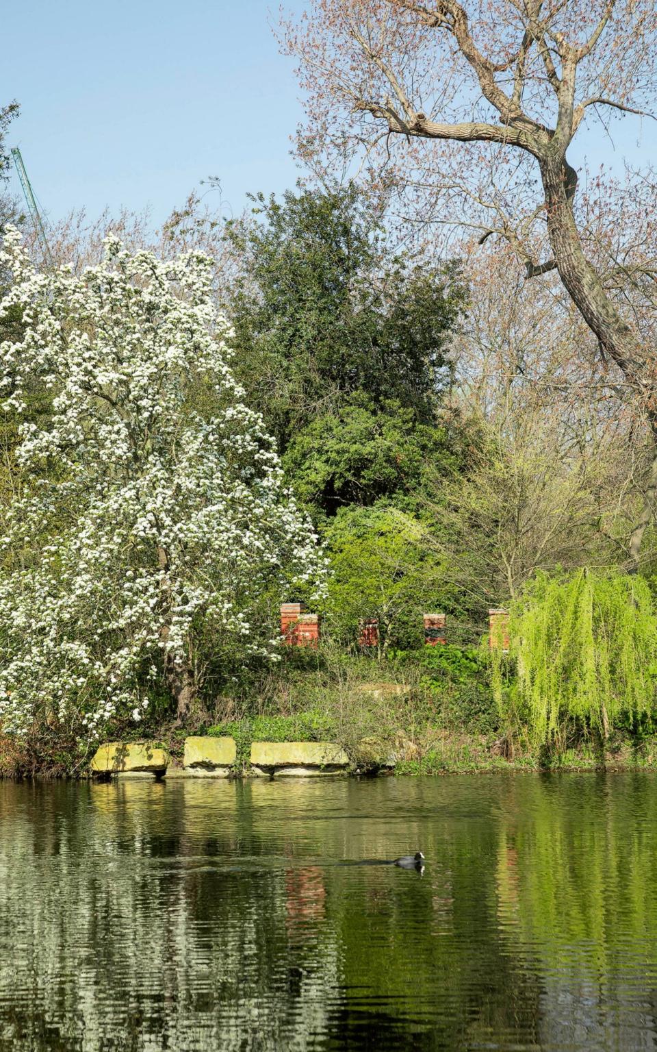 Buckingham Palace gardens  - John Campbell /Royal Collection Trust