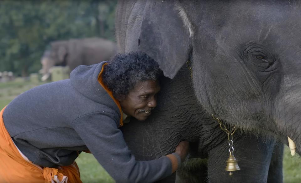 A man hugs an elephant