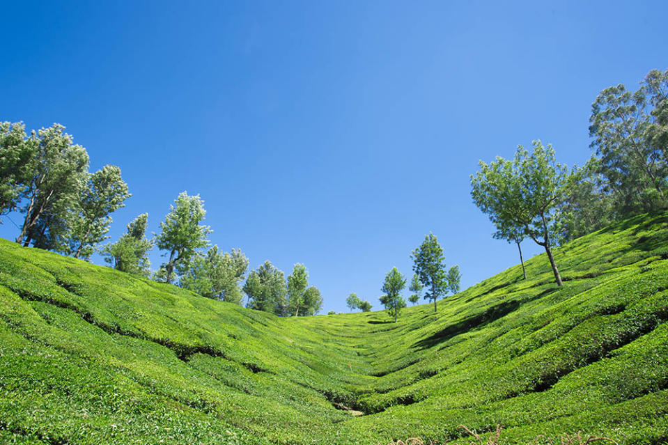 金馬崙高原（Image Source : Getty Creative/iStockphoto）