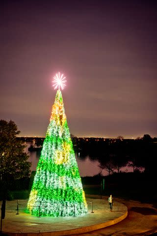 <p>Gabriela Herman</p> This showstopping 50-foot tree at the city's arboretum is covered in more than 42,000 lights.