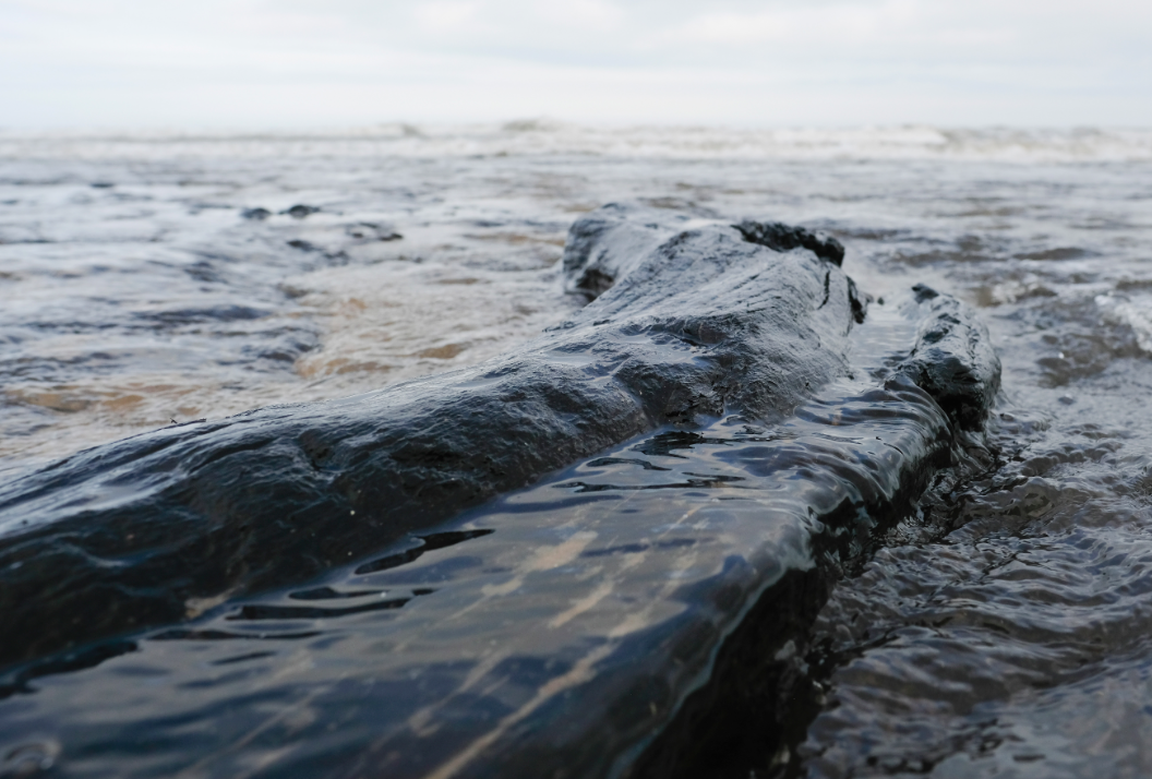 <em>Storm Emma unearthed parts of a 7,000-year-old forest near Hartlepool (Getty)</em>