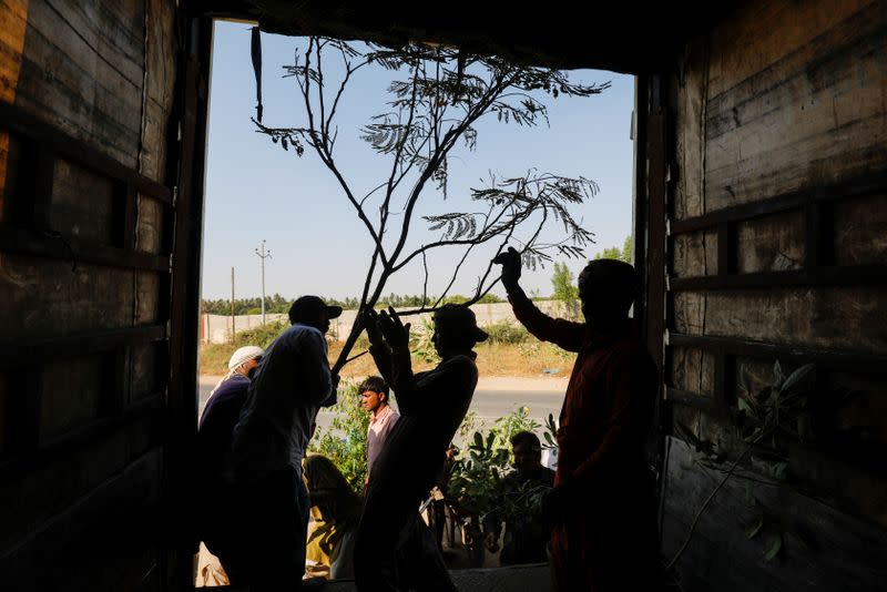 Labourers load a truck with trees and plants to be transported for planting along the pilgrimage route between Iraqi Shi'ite Muslim holy city of Najaf and Karbala, at a farm on the outskirts of Karachi