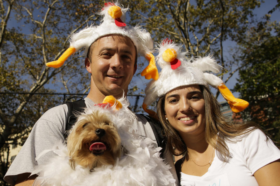 Costumed pooches prance In annual Halloween Dog Parade in New York City