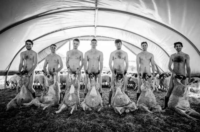 The picture of the naked Royal Veterinary College students holding sheep.