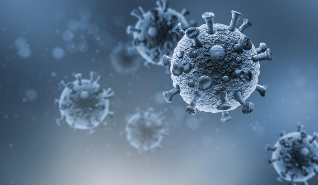 <span class="caption">Are there places in the body where SARS-CoV-2 can hide from the immune system?</span> <span class="attribution"><a class="link " href="https://www.gettyimages.com/detail/photo/virus-background-royalty-free-image/1212601928?adppopup=true" rel="nofollow noopener" target="_blank" data-ylk="slk:fotograzia / Getty Images;elm:context_link;itc:0;sec:content-canvas">fotograzia / Getty Images</a></span>