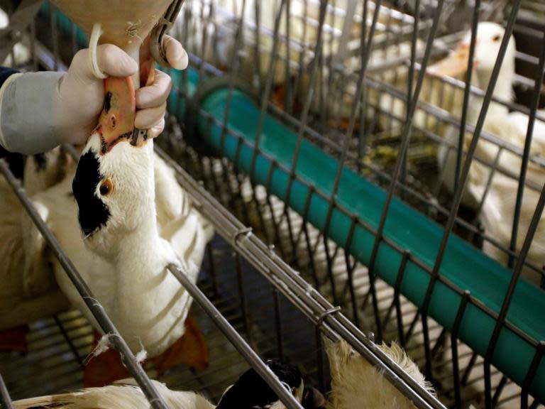 California toughens ban on sale and production of foie gras