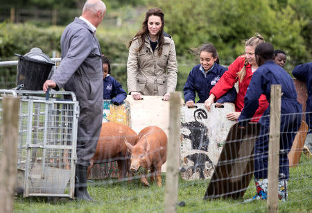 Britain's Catherine, The Duchess of Cambridge helps children from Vauxhall primary school as they attempt to herd a pig into a pen during a visit to a "Farms for Children" farm in Gloucestershire, May 3, 2017. REUTERS/Richard Pohle/Pool