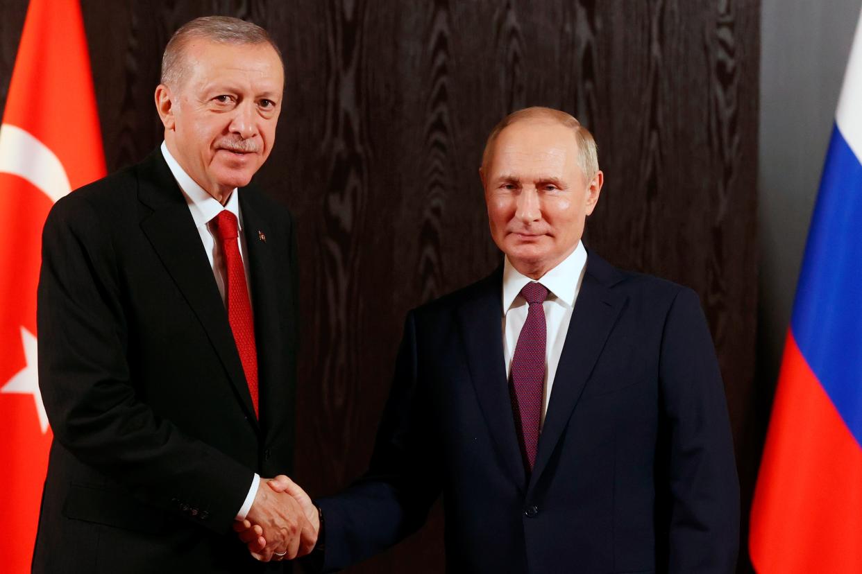 Erdogan and Putin met in Uzbekistan last September (Sputnik)