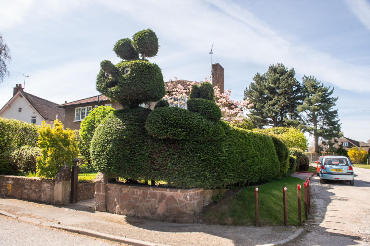 Homeowner Susan Sanderson, 75, has kept the enormous garden boundary as a tribute to her widow John, who cultivated the creation one day while she was out shopping. 