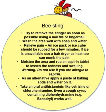 First Aid Tips: What to do in case of a bee sting