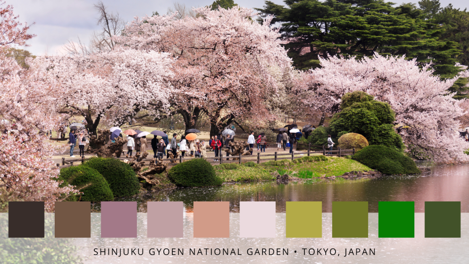 <p>Ah, blossom trees! A real sight to behold, Shinjuku Gyoen turns a breathtaking pastel pink each spring, drawing in a crowd of steady visitors. One of Tokyo's largest and most popular parks, it's certainly one to add to your must-visit list. </p>