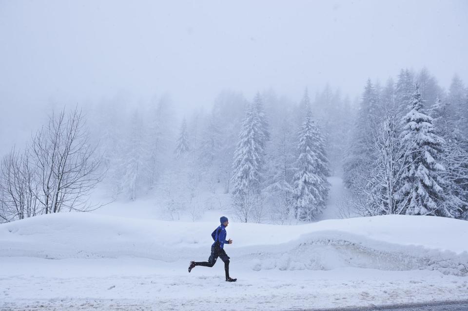 Photo credit: Jakob Helbig - Getty Images