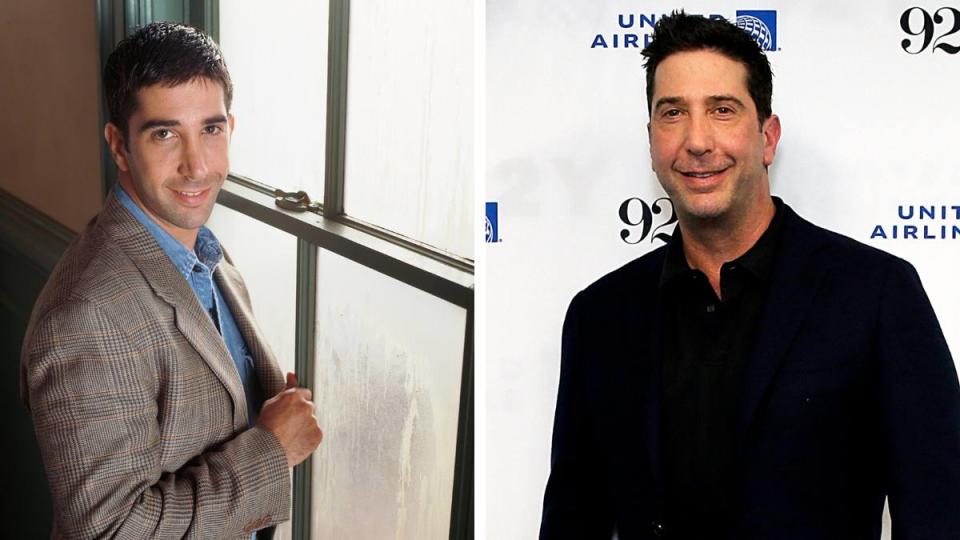 David Schwimmer as Dr. Ross Geller Friends cast