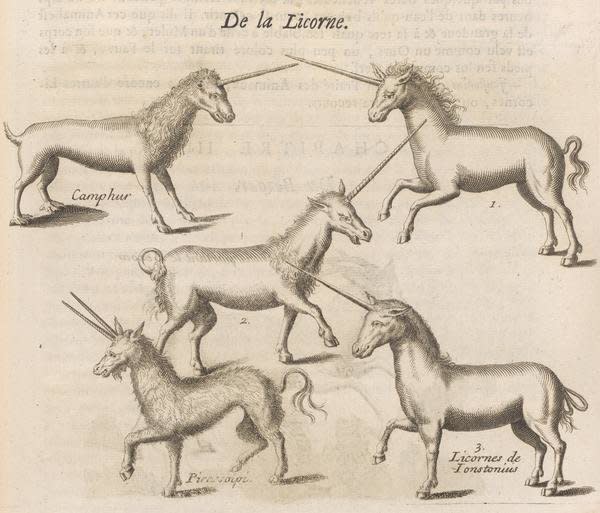 In&nbsp;Pomet's compendium of drugs, he lists no fewer than five types of unicorn horn. Narwhal horns were often sold as unicorn horn for medicinal purposes.&nbsp;