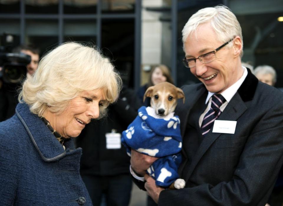 The Duchess Of Cornwall Visits Battersea Cats And Dogs Home