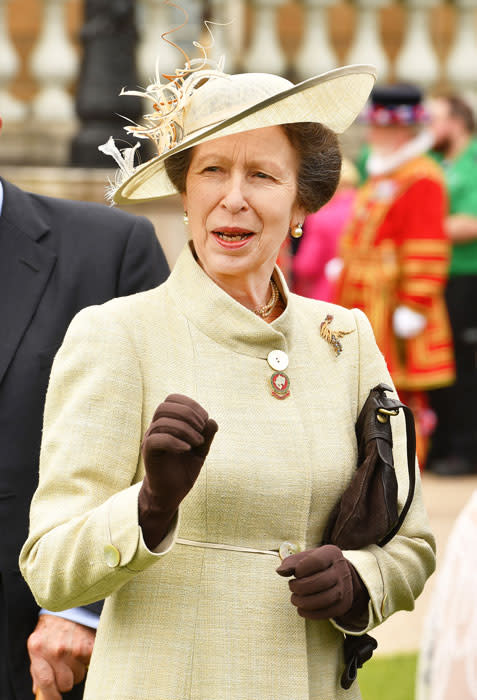 princess-anne