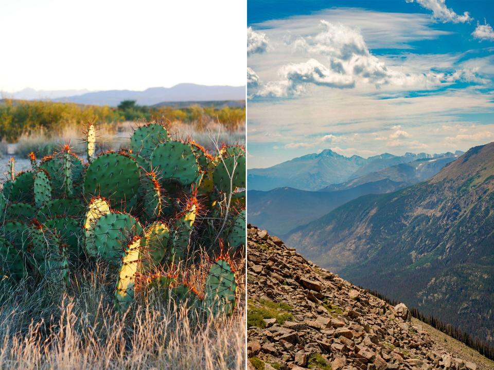 Left: Texas cactus with mountains and sunset in the back. Right: Rock slope on the left and mountains on the right with blue, cloudy skies.