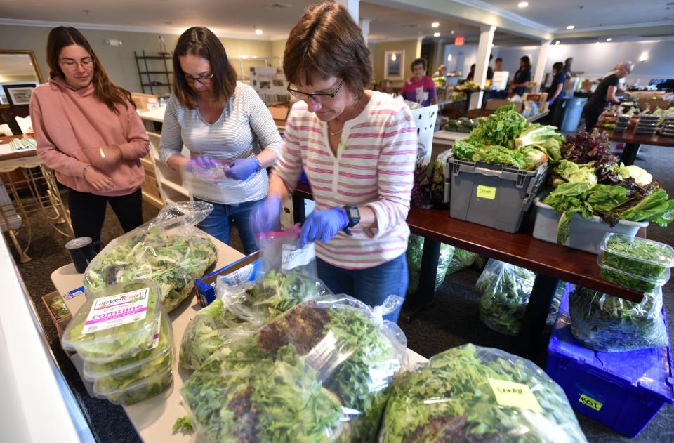 Caitlin Hawk, Carol Hawk and Jeanne Sullivan, right, are up to their elbows in lettuce as they help bag greens at the Family Table Collaborative's distribution area.