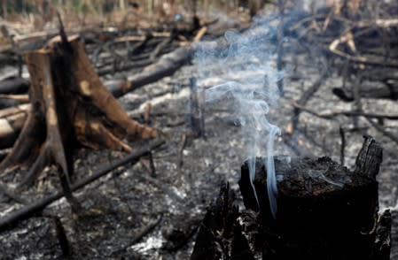 A tract of Amazon jungle burns as it is being cleared by loggers and farmers in Novo Airao