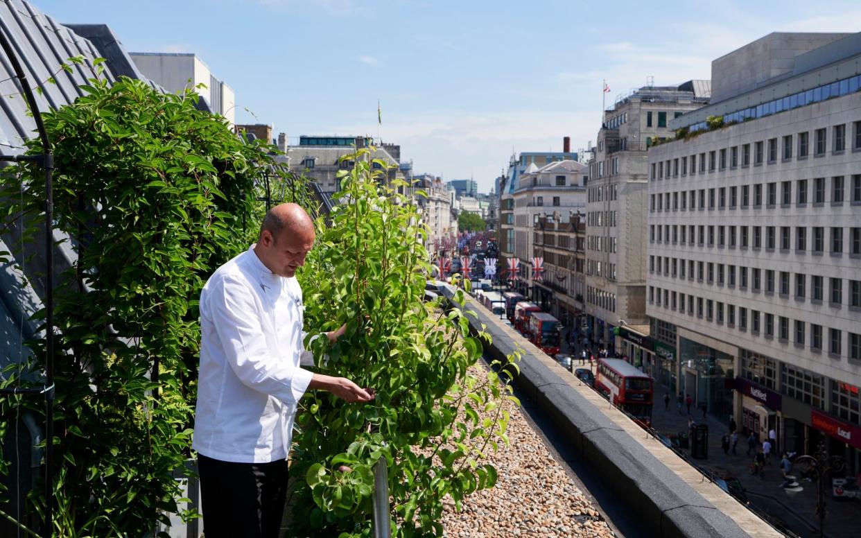 Peter Fiori, Coutts executive chef, at the bank's skyline garden, high on the roof tops opposite Charing Cross