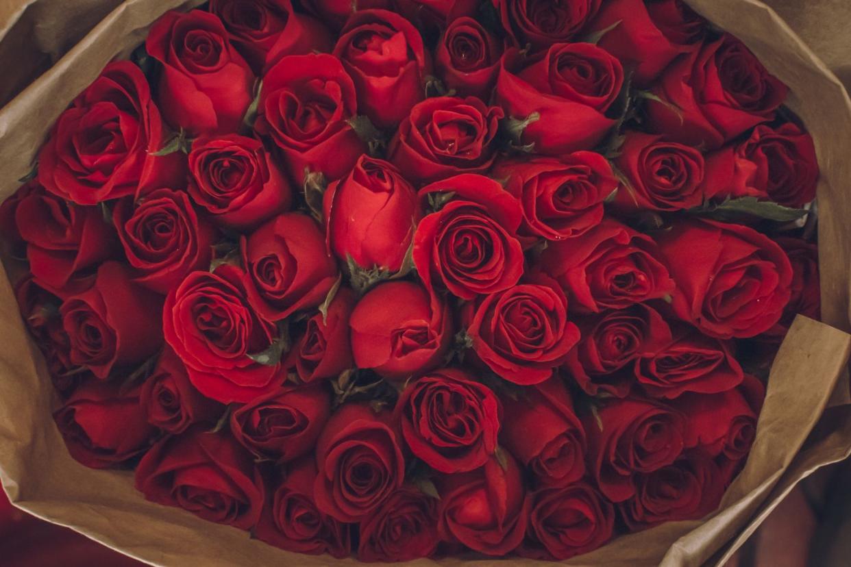 valentines day trivia venus red roses