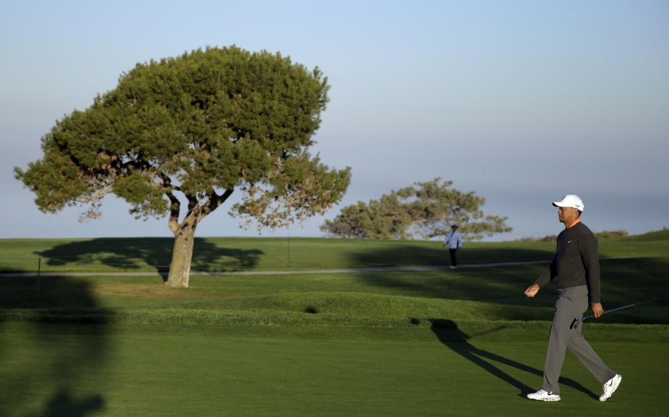 Tiger Woods walks on the fifth green during the pro-am at the Farmers Insurance Open golf tournament at Torrey Pines Golf Course on Wednesday, Jan. 22, 2014, in San Diego. (AP Photo/Chris Carlson)