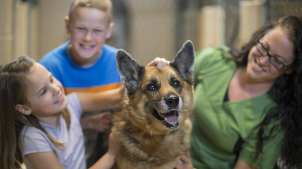 Family adopting dog from rescue shelter