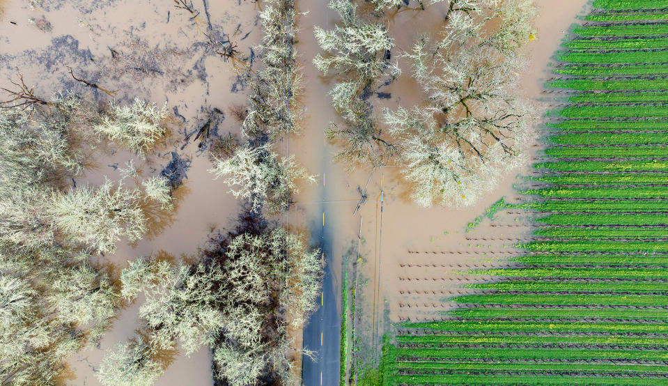 A flooded road captured from above on Jan. 5, 2023, in Sebastopol, California