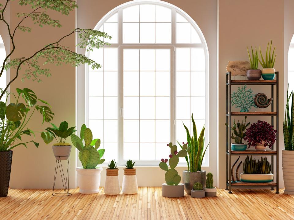 18 Eye-Catching Planters for Your Indoor Botanical Paradise