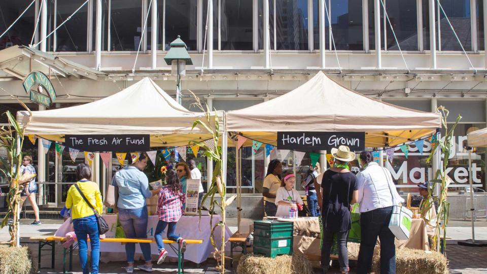 Scene from the Farm Fresh Festival for Kids at the South Street Seaport in Manhattan