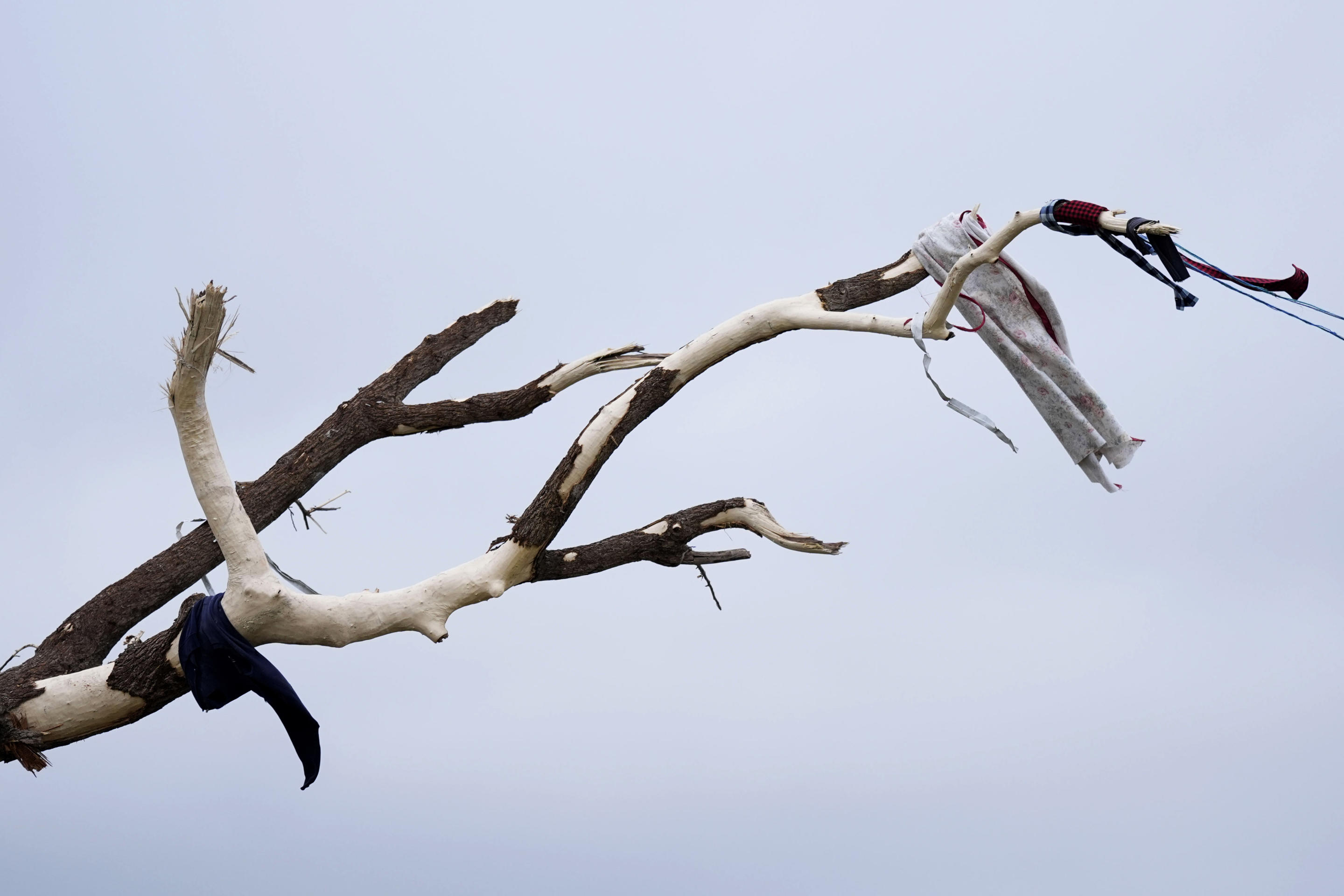 Clothes cling to a branch of a tree damaged by a tornado on Tuesday in Greenfield, Iowa. 