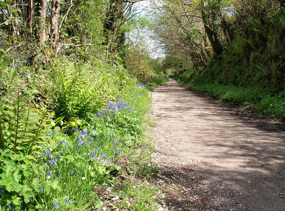 For adventure: Camel Trail