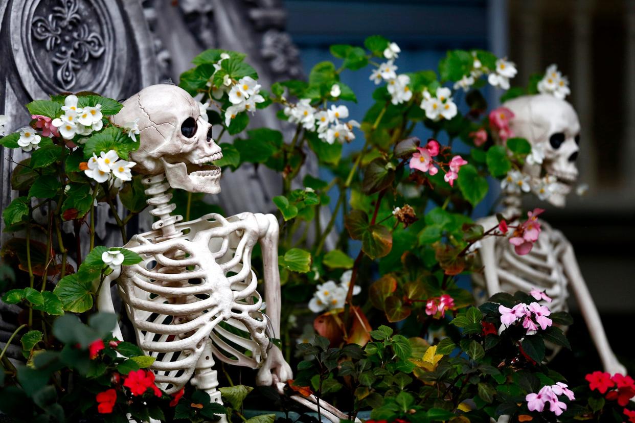 Two skeletons sit in the front yard of a home on West 4th Avenue in Columbus that is decorated for Halloween in 2021. A report ranked Columbus as the 18th spookiest city based on its search traffic for Halloween decorations.