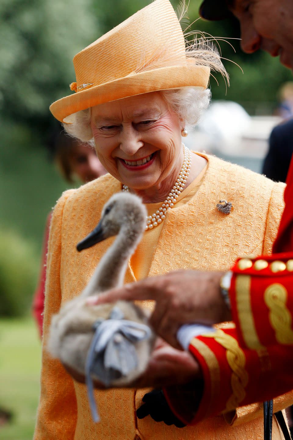 She owns all of the swans, whales and dolphins in the UK waters