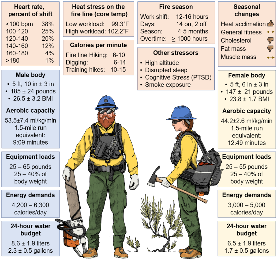 Resource demands on a wildland firefighter. Christopher Durdle, Brent Ruby, <a href="http://creativecommons.org/licenses/by-nd/4.0/" rel="nofollow noopener" target="_blank" data-ylk="slk:CC BY-ND;elm:context_link;itc:0;sec:content-canvas" class="link ">CC BY-ND</a>