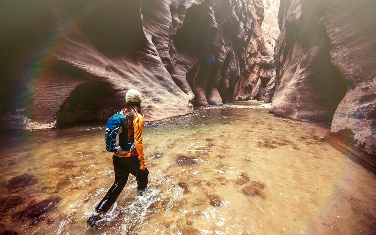 7 Hikes to Take Instead of Black Friday Shopping