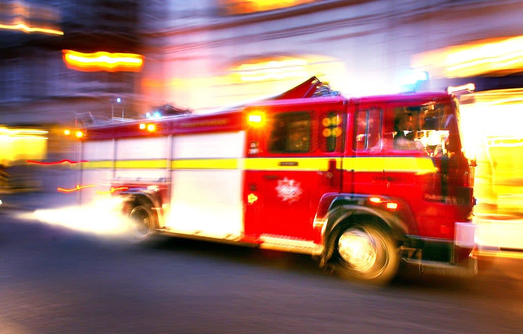 Firefighters rushed to rescue Ronnie the iguana  (Getty Images)