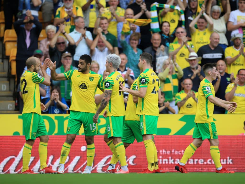 Norwich are rock bottom of the Premier League table and still in search of their first points (Getty Images)