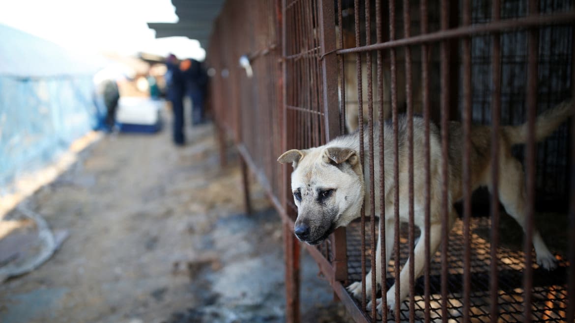 Kim Hong-Ji/Reuters