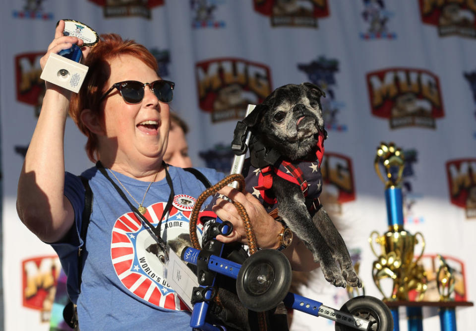 Michelle Grady holds her dog Rome, who came in second place during the 2024 World's Ugliest Dog contest.<span class="copyright">Justin Sullivan—Getty Images</span>